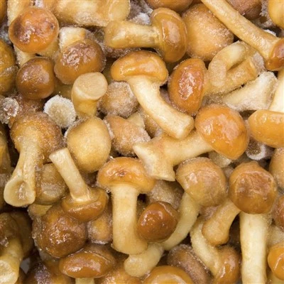 Mrazený IQF Nameko